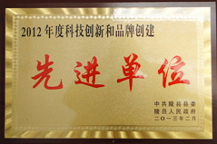 2012年度科技創(chuàng)新和品牌建設(shè)先進單位